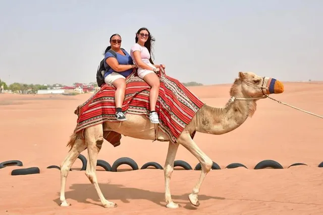 Private Morning Desert Safari Dubai with Wildlife & Al Qudra Lakes in Dubai — experience image 10 of 18
