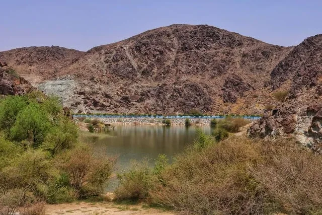 Private Desert Tour from Dubai to Wadi Shawka with Picnic in Dubai — experience image 4 of 7