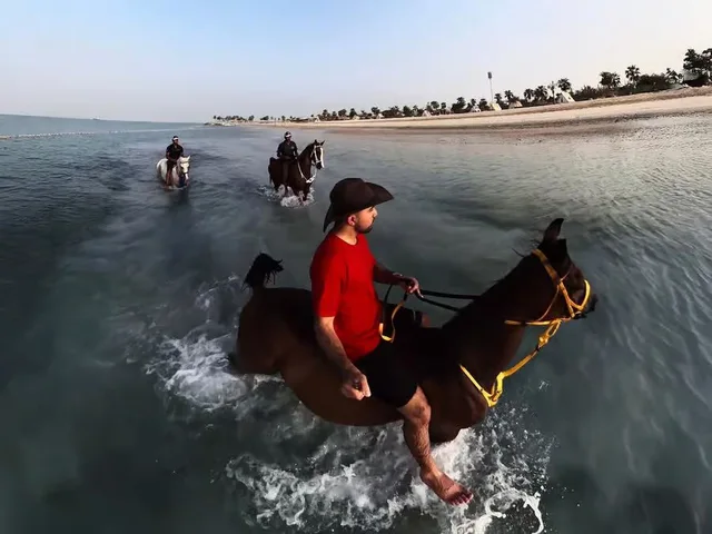 Hudairiyat Island Horse Riding Abu Dhabi: Shoreline Sessions in Abu Dhabi — experience image 3 of 5