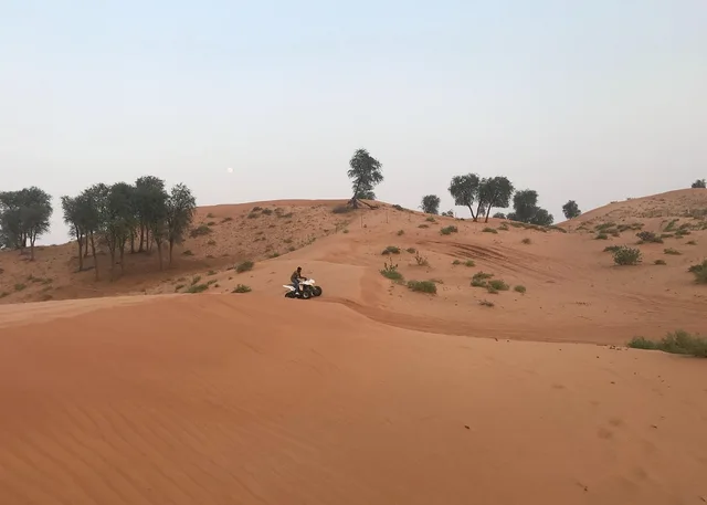 Ras Al Khaimah Guided Quad Bike Desert Tour with Hotel Pickup in Ras Al-Khaimah — experience image 5 of 6