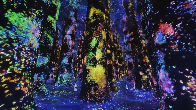 Abu Dhabi Mosque & teamLab Phenomena: Combined Visit Request in Abu Dhabi — experience image 5 of 12