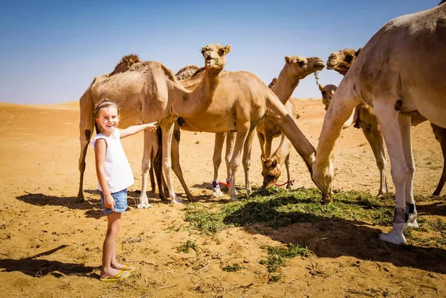 Abu Dhabi Morning Desert Safari with Quad Bike & Sandboarding in Abu Dhabi — experience image 12 of 16