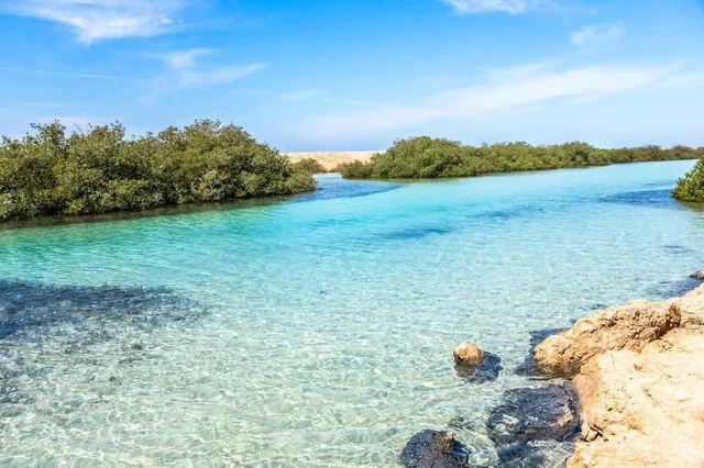 Ras Mohammed Bus Tour: Mangroves, Magic Lake & Reef in Sharm El Sheikh — experience image 22 of 31