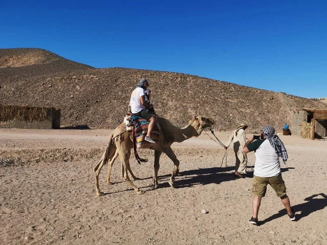 Taba Quad Bike Safari: Desert Tracks & Tea in Taba — experience image 13 of 22