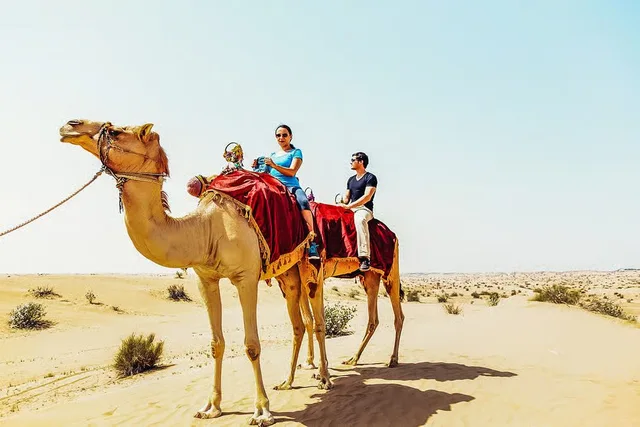 Dubai Red Dunes Desert Safari: Camel Ride & Sandboarding in Sharjah — experience image 12 of 24