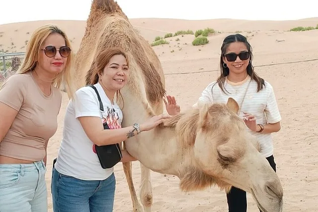 Abu Dhabi Evening Desert Safari with BBQ Dinner & Shows in Abu Dhabi — experience image 5 of 19