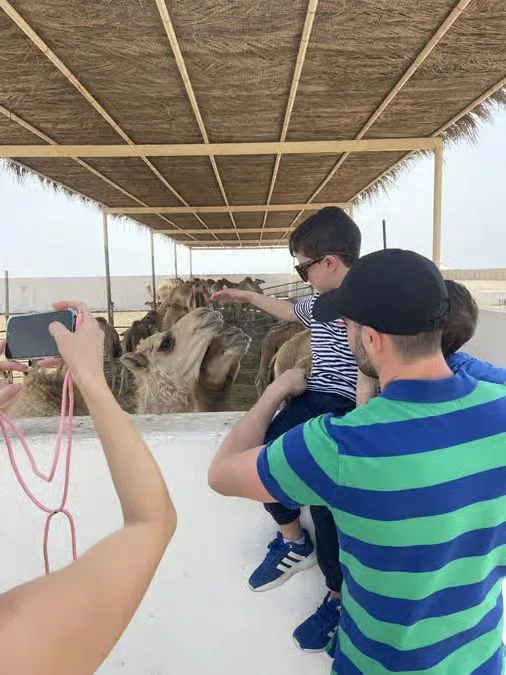 Bahrain South to North Tour: Tree of Life, Fort & Souq in Manama — experience image 8 of 8