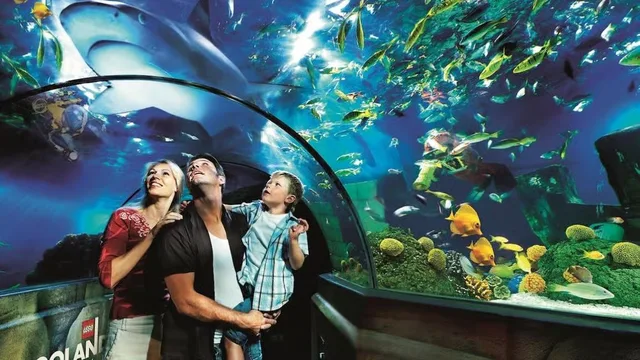 Dubai Aquarium & Underwater Zoo Tickets: Silver, Gold & Encounters in Dubai — experience image 4 of 14