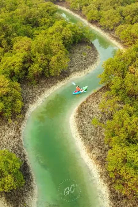 Reem Central Park Abu Dhabi: Two-Hour Guided Kayak Tour in Abu Dhabi — experience image 10 of 12