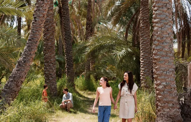 Al Ain City Tour: Oasis, Al Jahili Fort & Jebel Hafeet in Al Ain — experience image 11 of 13