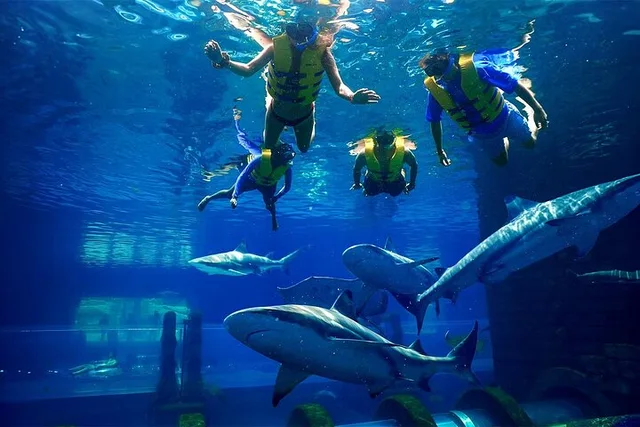 Atlantis Aquaventure Waterpark Dubai Tickets & Combo Options in Dubai — experience image 16 of 18