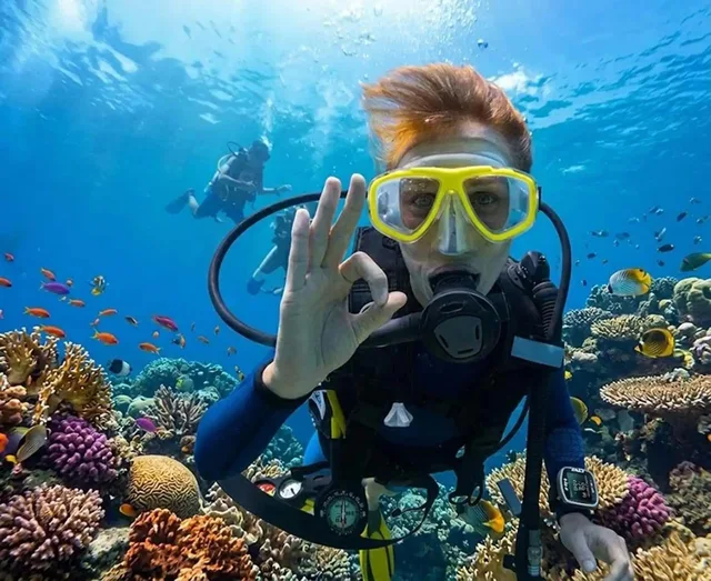 Ras Mohammed & White Island Snorkeling Tour from Sharm in Sharm El Sheikh — experience image 28 of 41