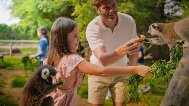 Dubai Safari Park Tickets: Park Pass & Explorer Safari Bundle in Dubai — experience image 11 of 16