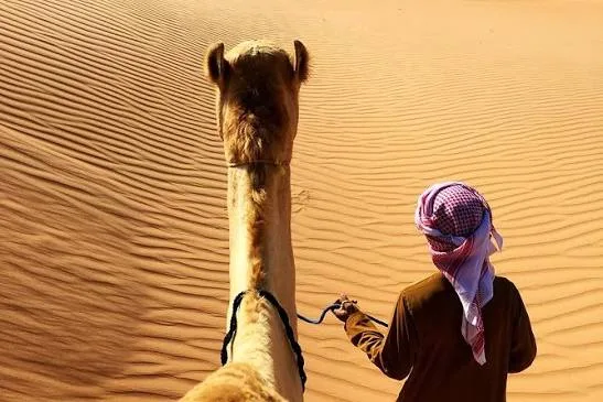 Abu Dhabi Sunrise Desert Safari: Early-Morning Dune Drive in Abu Dhabi — experience image 5 of 9