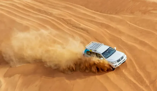 Private Morning Desert Safari Dubai with Wildlife & Al Qudra Lakes in Dubai — experience image 16 of 18