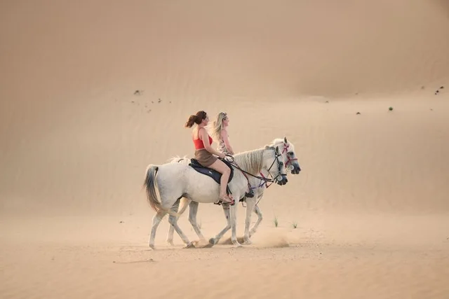 Doha Desert Horse Riding with Instructor & Transfers in Doha — experience image 6 of 8