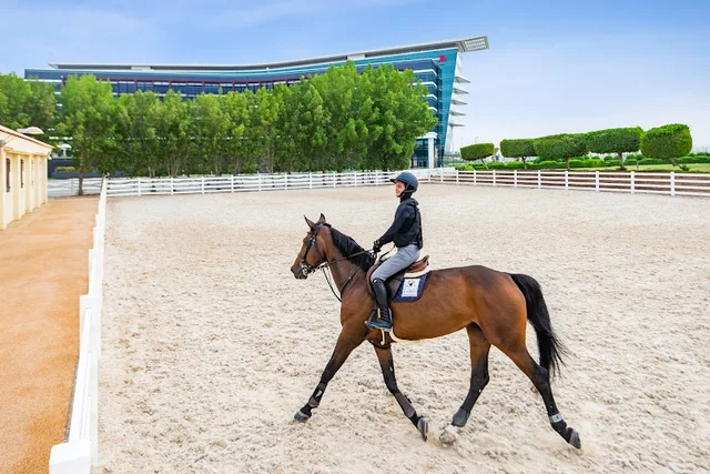 Al Forsan Horse Riding Abu Dhabi: 20-Minute Ride in Abu Dhabi — experience image 4 of 9
