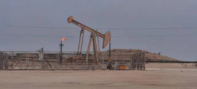 Bahrain Half-Day Desert Tour: Tree of Life & First Oil Well in Manama — experience image 15 of 17