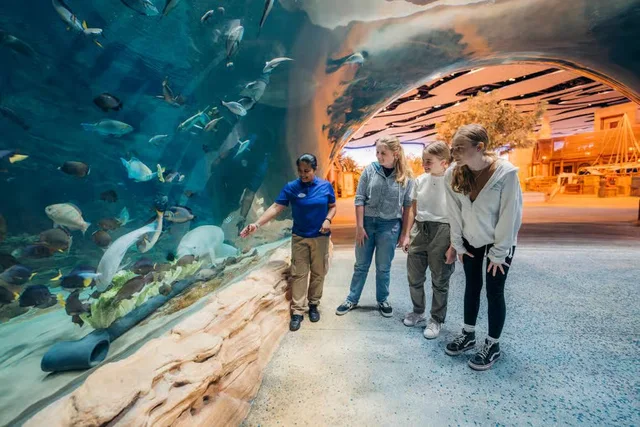 SeaWorld Abu Dhabi Tickets: Single-Day General Admission in Abu Dhabi — experience image 12 of 19