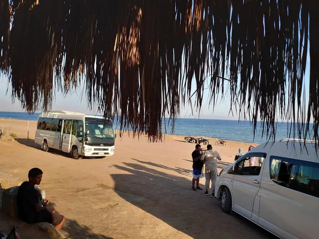 Sharm Camel Ride & Bedouin Dinner Desert Safari in Sharm El Sheikh — experience image 5 of 14