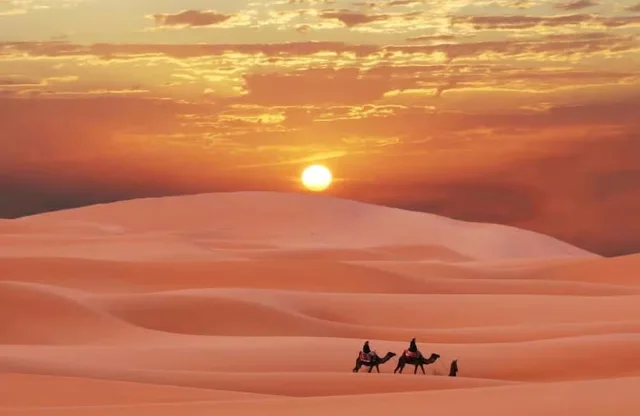 Doha Desert Safari with Quad Bike, Camel Ride & Inland Sea in Doha — experience image 10 of 15