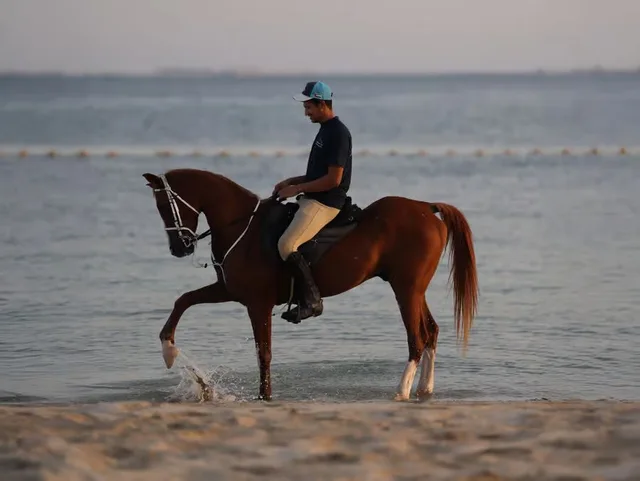 Hudairiyat Island Horse Riding Abu Dhabi: Shoreline Sessions in Abu Dhabi — experience image 4 of 5