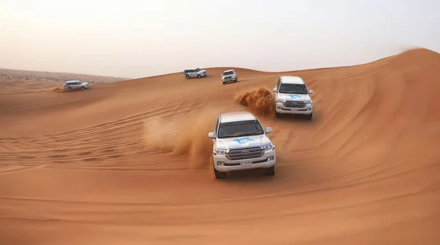 Dubai Desert Safari: Camel Ride, Sandboarding & Buggy Options in Dubai — experience image 18 of 26
