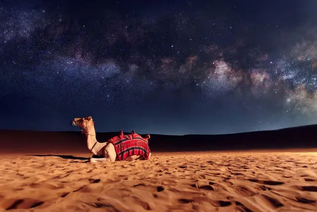 Dubai Evening Desert Safari with Camel Ride & Stargazing in Dubai — experience image 9 of 17