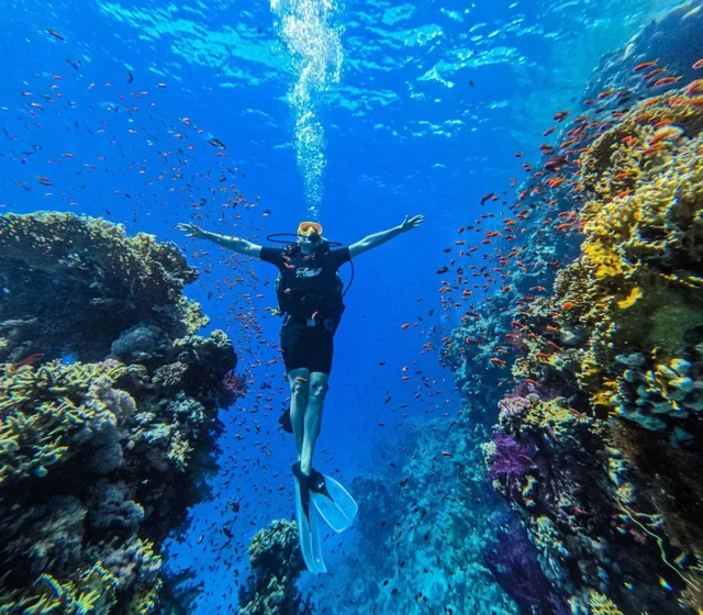 Ras Mohammed & White Island Snorkeling Tour from Sharm in Sharm El Sheikh — experience image 16 of 41