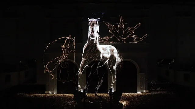 Furusiyya ADREA Show Abu Dhabi: Return to Origins Tickets in Abu Dhabi — experience image 4 of 13