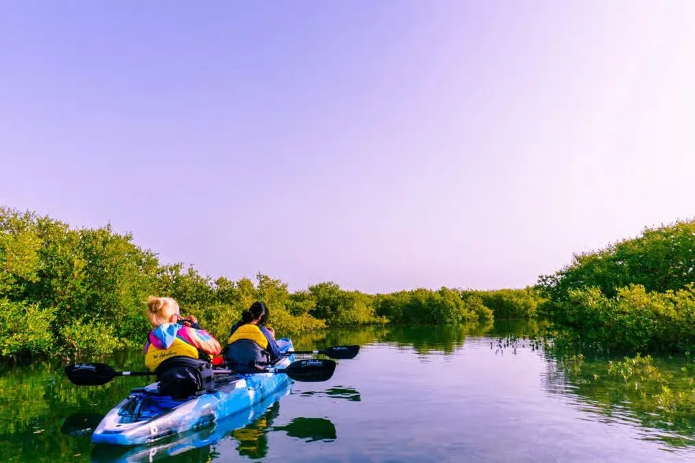 Al Thakira Mangrove Kayaking Tour from Doha experience in Doha