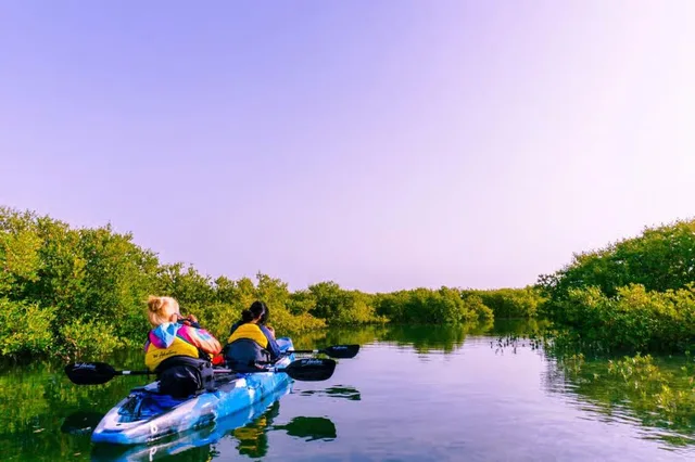 Al Thakira Mangrove Kayaking Tour from Doha experience in Doha