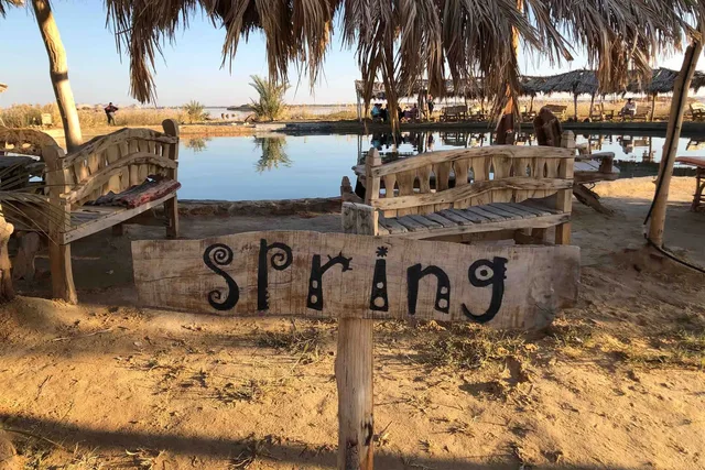 Private Siwa Oasis Day Tour: Salt Lakes & Heritage in Siwa — experience image 53 of 77