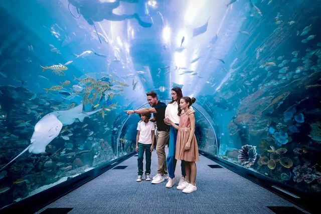Dubai Aquarium & Underwater Zoo Tickets: Silver, Gold & Encounters in Dubai — experience image 11 of 14