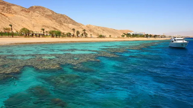 Petra Day Trip from Taba: Ferry, Siq & Treasury in Taba — experience image 2 of 18