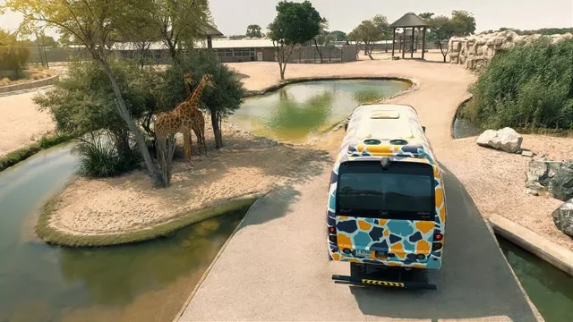 Dubai Safari Park Tickets: Park Pass & Explorer Safari Bundle in Dubai — experience image 10 of 16