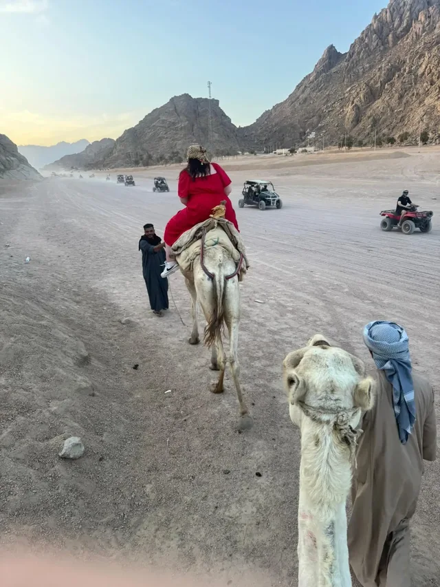 Sharm Camel Ride & Bedouin Dinner Desert Safari in Sharm El Sheikh — experience image 11 of 14