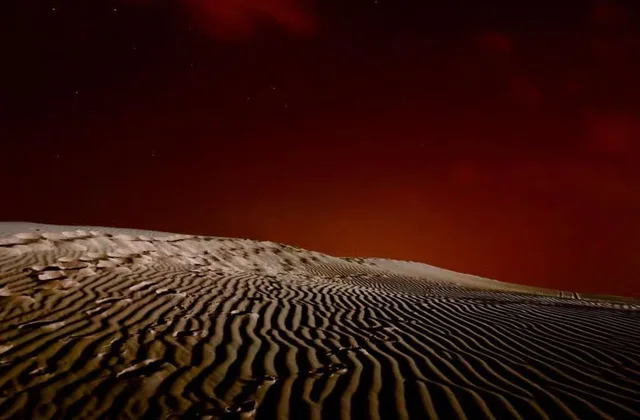 Doha Night Desert Safari: Dunes, Camel Ride & Stargazing in Doha — experience image 11 of 11