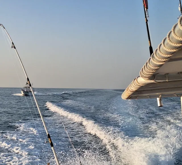 Private Fishing Trip Ras Al Khaimah: Four-Hour Open-Sea Charter in Ras Al-Khaimah — experience image 2 of 9