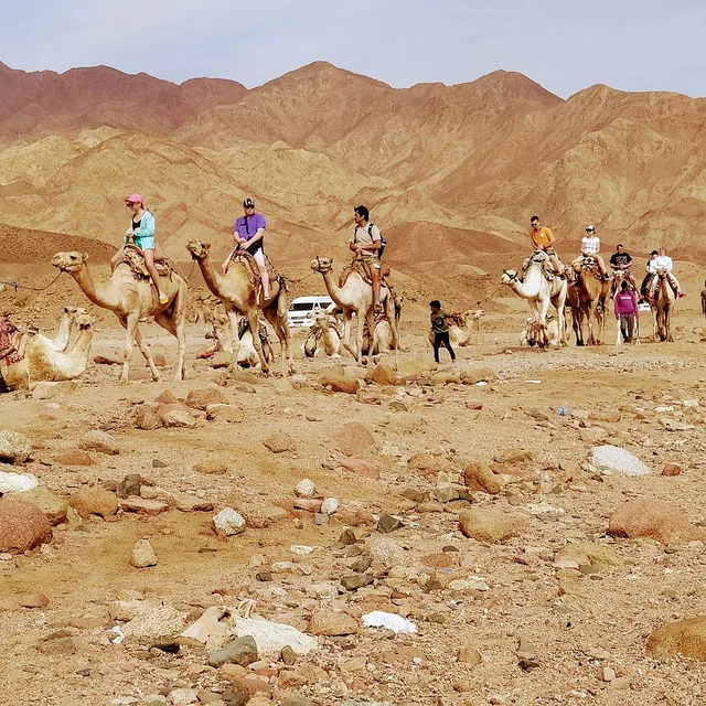 Coloured Canyon Jeep Safari from Taba with Lunch in Taba — experience image 18 of 20