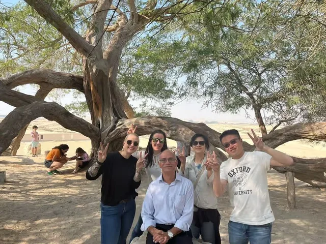 Bahrain Half-Day Desert Tour: Tree of Life & First Oil Well in Manama — experience image 11 of 17