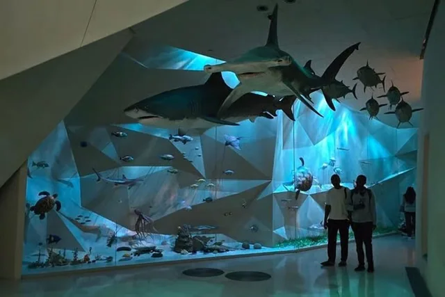 Doha Full-Day Museum Tour: National Museum, MIA & Heritage in Doha — experience image 4 of 13