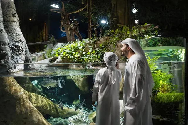 Dubai Aquarium & Underwater Zoo Tickets: Silver, Gold & Encounters in Dubai — experience image 7 of 14