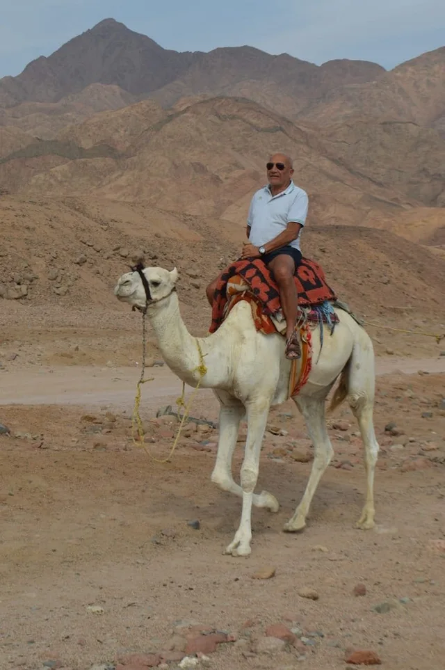 Coloured Canyon Jeep Safari from Taba with Lunch in Taba — experience image 12 of 20