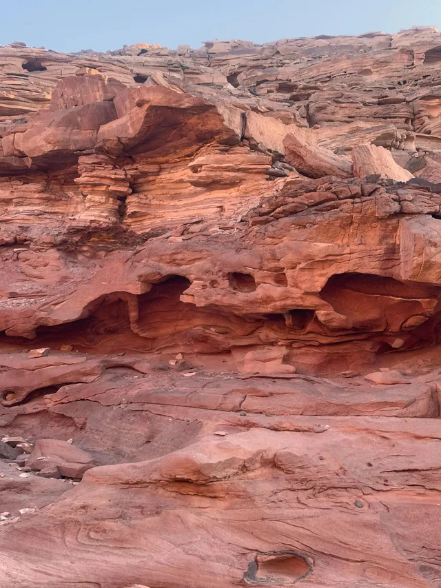 Sharm Camel Ride & Bedouin Dinner Desert Safari in Sharm El Sheikh — experience image 4 of 14