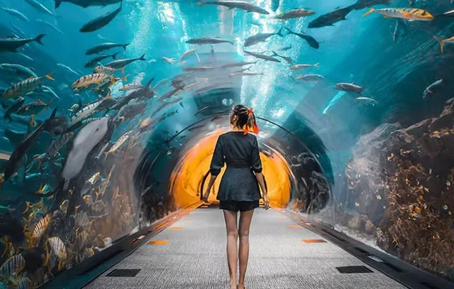 Dubai Aquarium & Underwater Zoo Tickets: Silver, Gold & Encounters in Dubai — experience image 6 of 14
