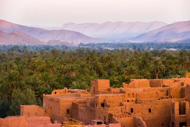 Private Siwa Oasis Day Tour: Salt Lakes & Heritage in Siwa — experience image 5 of 77