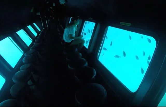 Taba to Sharm Glass-Bottom Boat: Reef Viewing in Taba — experience image 17 of 17