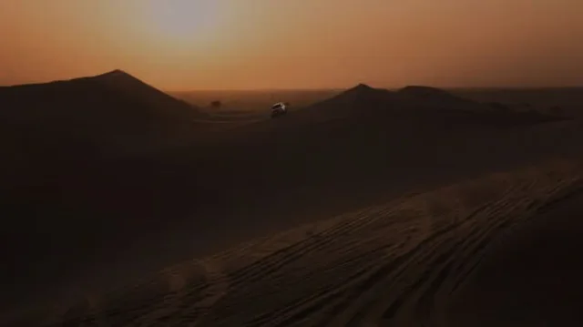 Doha Night Desert Safari: Dunes, Camel Ride & Stargazing in Doha — experience image 9 of 11