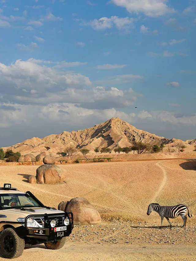 Al Ain Zoo Tickets: General Admission, Safari Truck & Private SUV in Al Ain — experience image 11 of 23